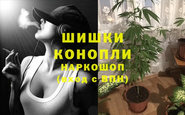 соль курить ск Пролетарск