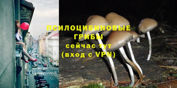 соль курить ск Пролетарск