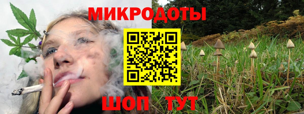 Слободской  Псилоцибиновые грибы Magic Shrooms  Вход с VPN 